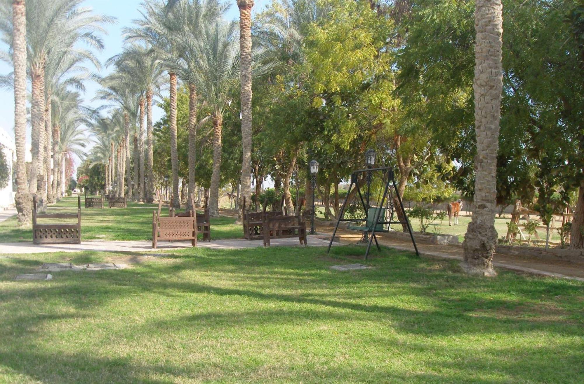 Six Corners Resort Abū Sulţān Extérieur photo